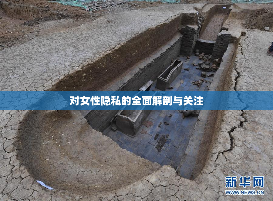 对女性隐私的全面解剖与关注
