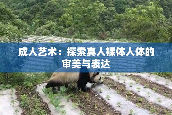 成人艺术：探索真人裸体人体的审美与表达