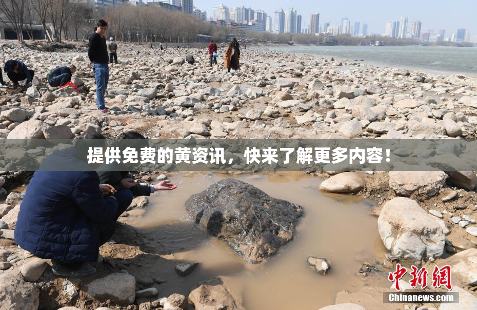 提供免费的黄资讯，快来了解更多内容！
