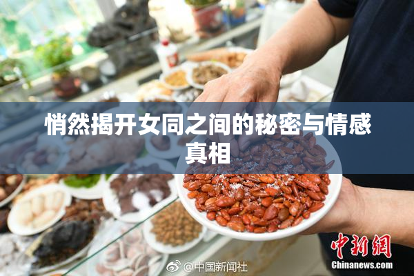悄然揭开女同之间的秘密与情感真相