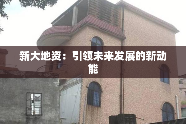 新大地资：引领未来发展的新动能