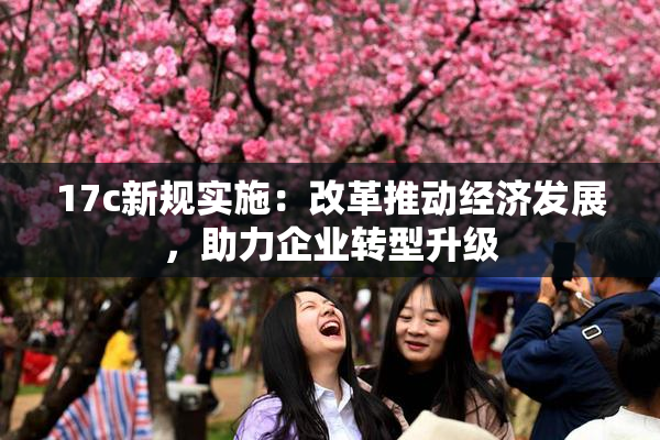 17c新规实施：改革推动经济发展，助力企业转型升级
