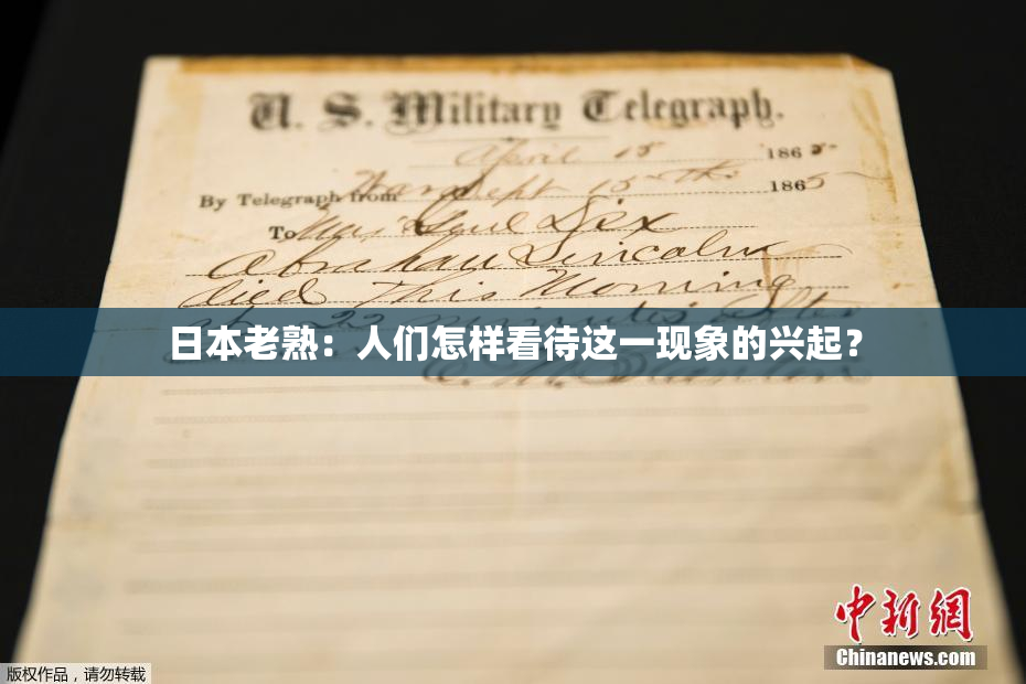 日本老熟：人们怎样看待这一现象的兴起？