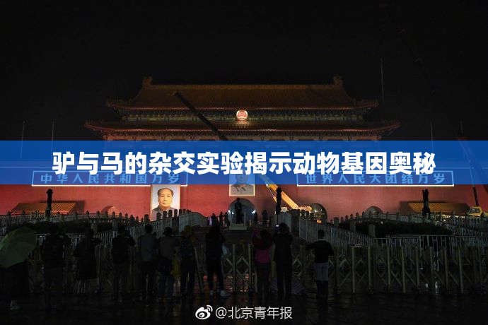 驴与马的杂交实验揭示动物基因奥秘