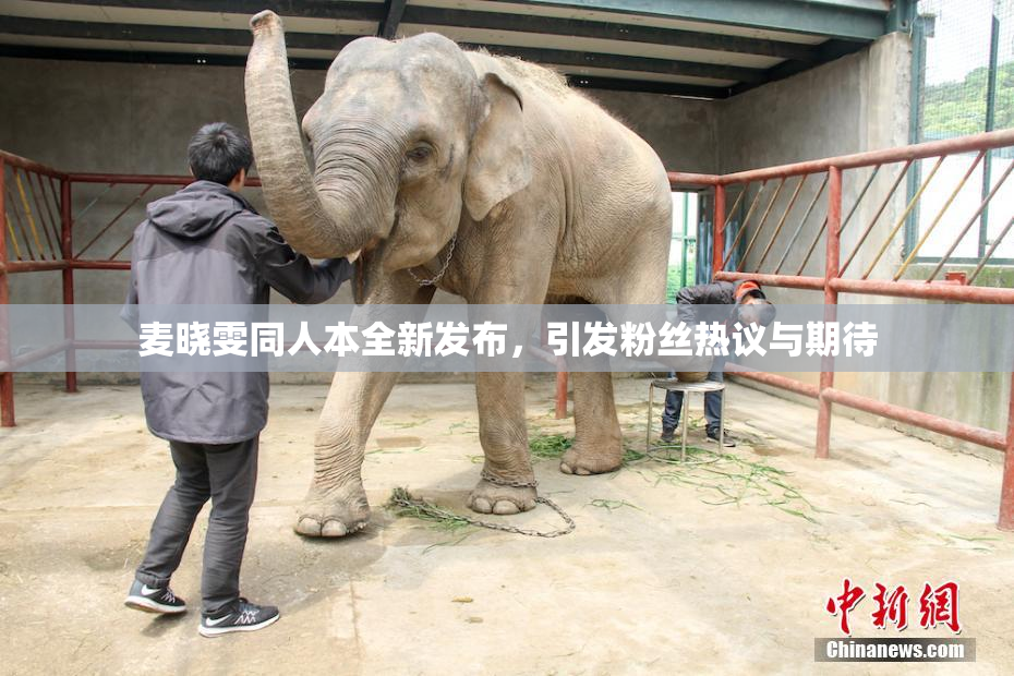 麦晓雯同人本全新发布，引发粉丝热议与期待