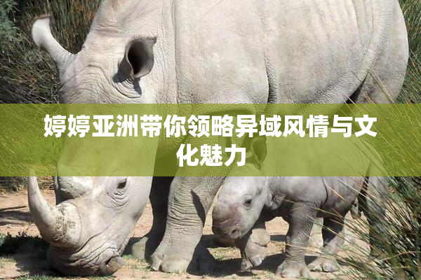 婷婷亚洲带你领略异域风情与文化魅力