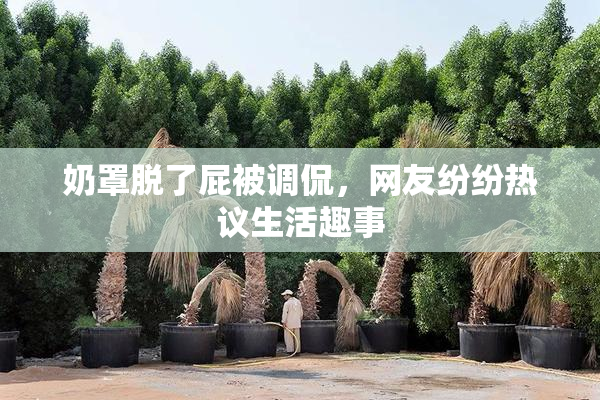 奶罩脱了屁被调侃，网友纷纷热议生活趣事