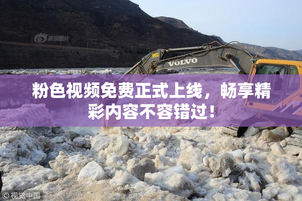 粉色视频免费正式上线，畅享精彩内容不容错过！