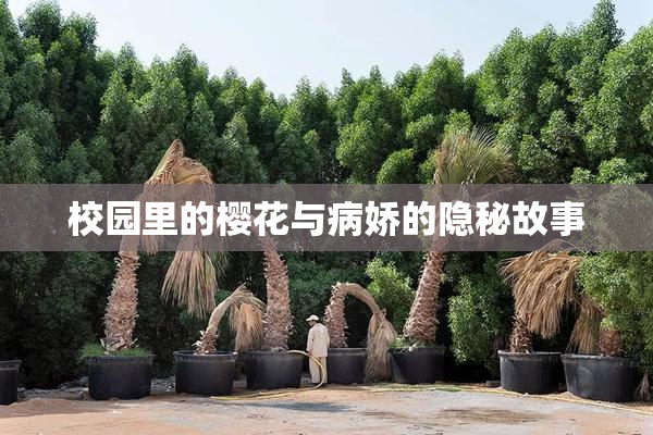 校园里的樱花与病娇的隐秘故事