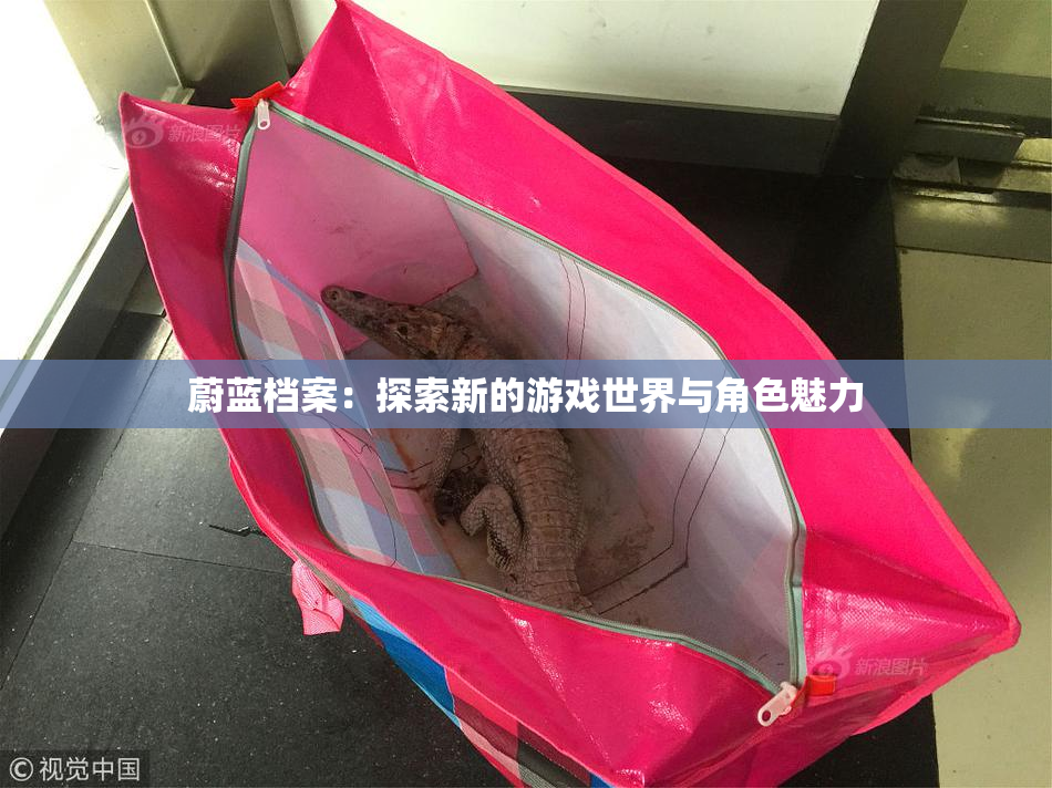 蔚蓝档案：探索新的游戏世界与角色魅力
