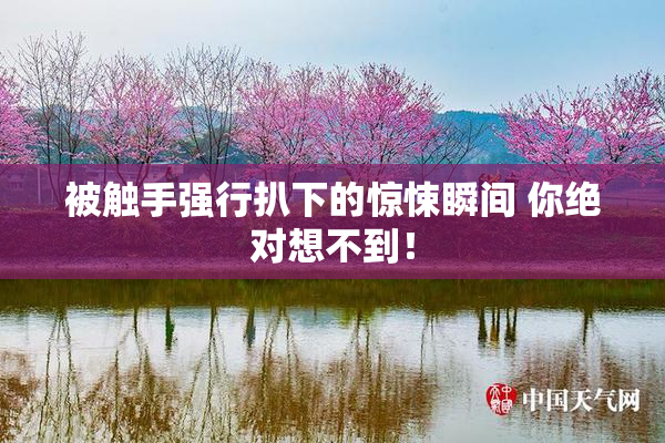 被触手强行扒下的惊悚瞬间 你绝对想不到！
