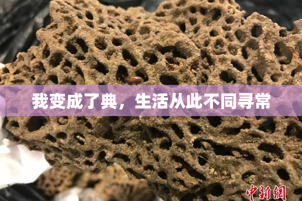 我变成了典，生活从此不同寻常