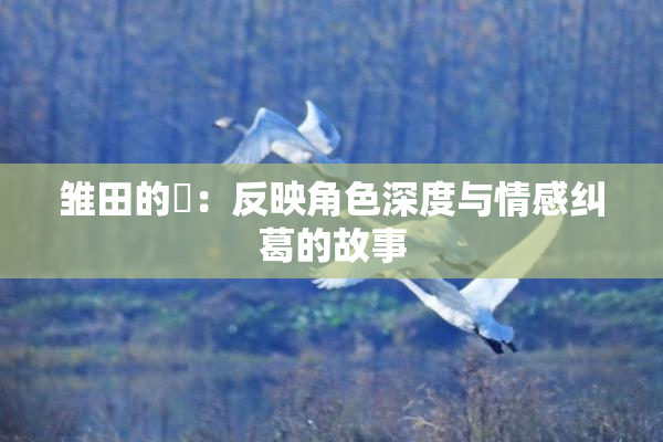 雏田的婬：反映角色深度与情感纠葛的故事