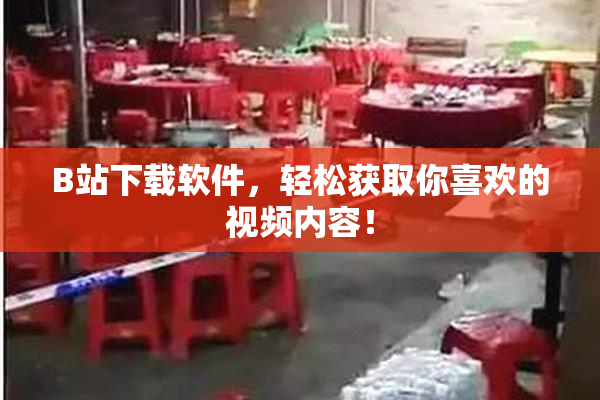 B站下载软件，轻松获取你喜欢的视频内容！