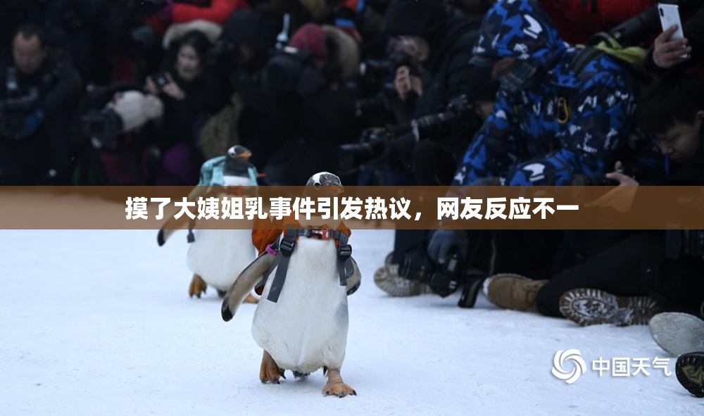 摸了大姨姐乳事件引发热议，网友反应不一