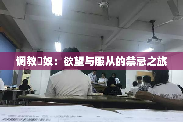 调教婬奴：欲望与服从的禁忌之旅