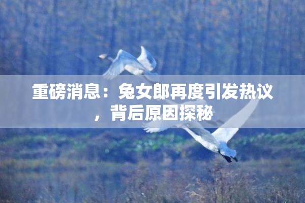 重磅消息：兔女郎再度引发热议，背后原因探秘