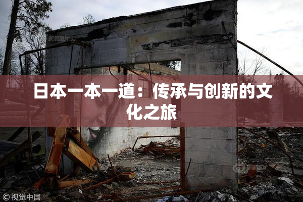日本一本一道：传承与创新的文化之旅