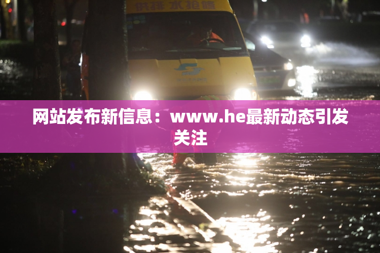 网站发布新信息：www.he最新动态引发关注