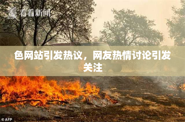 色网站引发热议，网友热情讨论引发关注