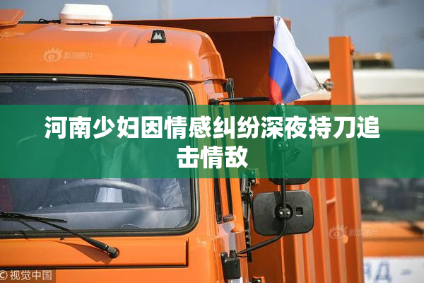 河南少妇因情感纠纷深夜持刀追击情敌