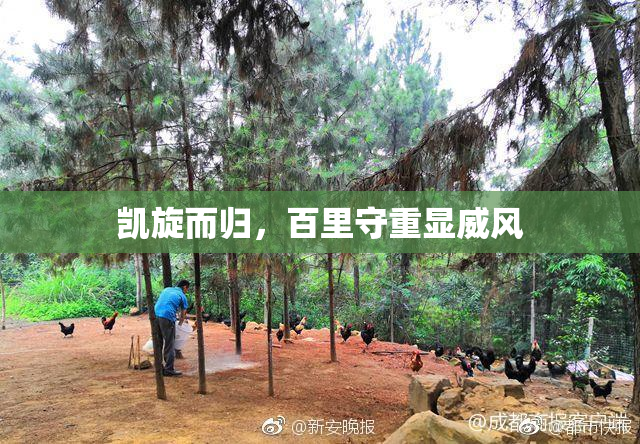 凯旋而归，百里守重显威风