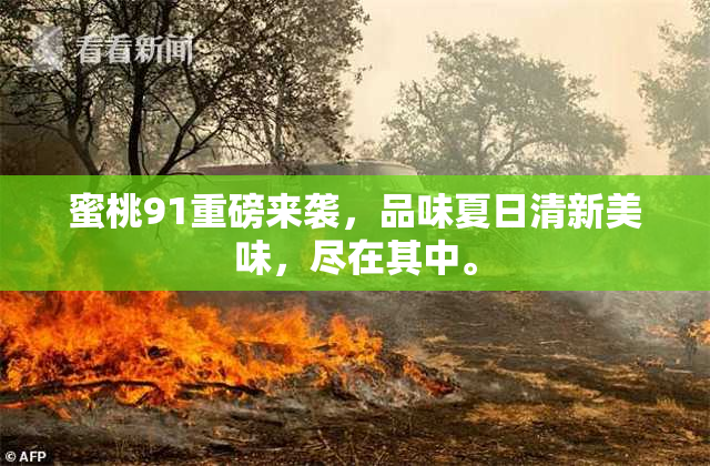 蜜桃91重磅来袭，品味夏日清新美味，尽在其中。