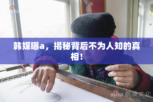 韩媒曝a，揭秘背后不为人知的真相！