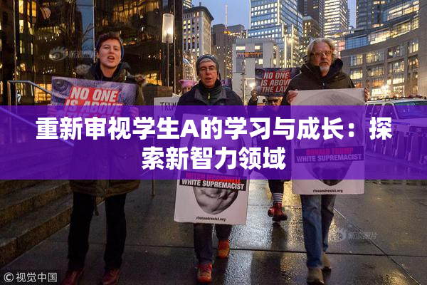 重新审视学生A的学习与成长：探索新智力领域