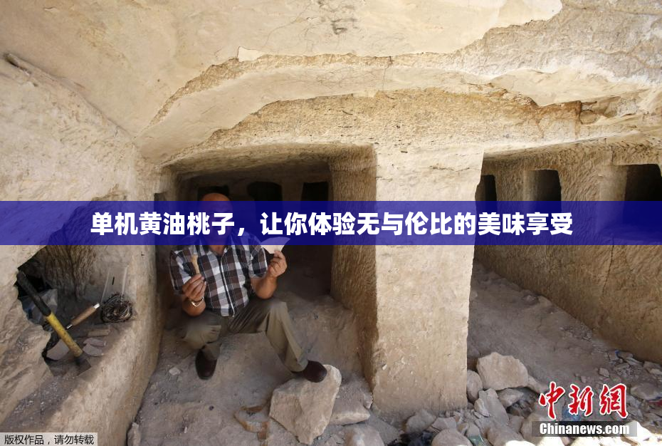 单机黄油桃子，让你体验无与伦比的美味享受