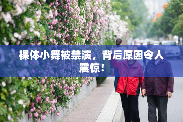 裸体小舞被禁演，背后原因令人震惊！