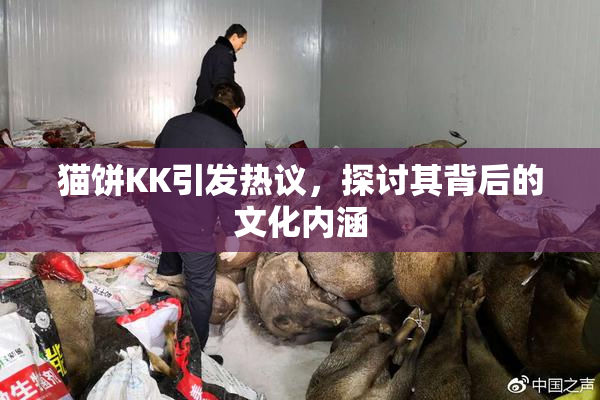 猫饼KK引发热议，探讨其背后的文化内涵