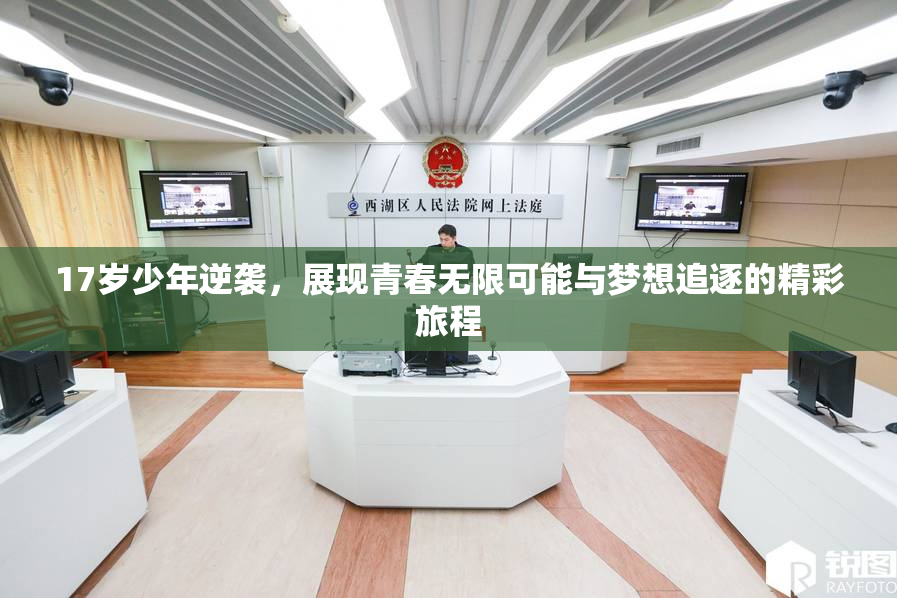 17岁少年逆袭，展现青春无限可能与梦想追逐的精彩旅程