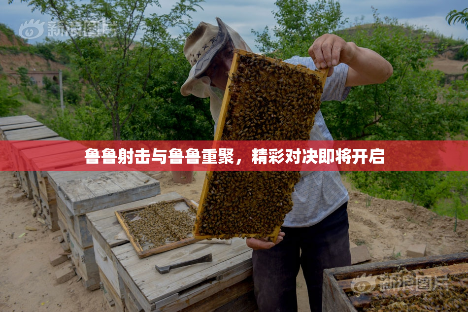 鲁鲁射击与鲁鲁重聚，精彩对决即将开启