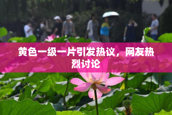 黄色一级一片引发热议，网友热烈讨论