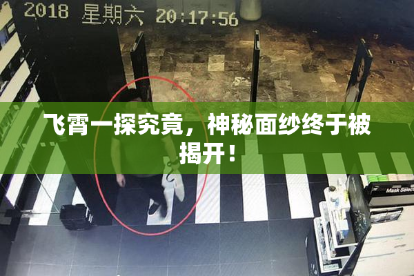 飞霄一探究竟，神秘面纱终于被揭开！