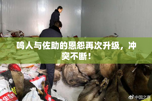 鸣人与佐助的恩怨再次升级，冲突不断！