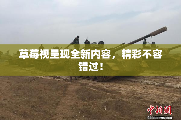 草莓视呈现全新内容，精彩不容错过！