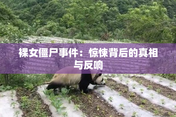 裸女僵尸事件：惊悚背后的真相与反响