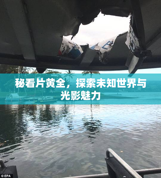 秘看片黄全，探索未知世界与光影魅力