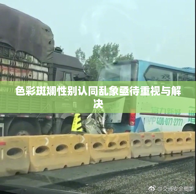 色彩斑斓性别认同乱象亟待重视与解决