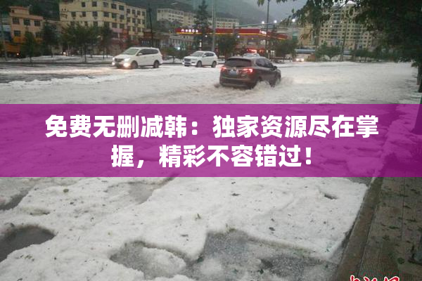 免费无删减韩：独家资源尽在掌握，精彩不容错过！