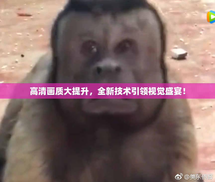 高清画质大提升，全新技术引领视觉盛宴！