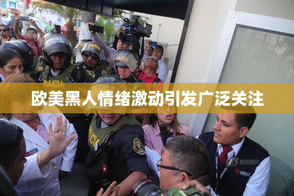 欧美黑人情绪激动引发广泛关注