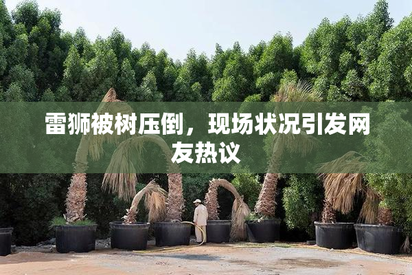 雷狮被树压倒，现场状况引发网友热议