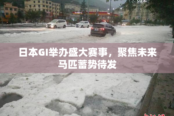 日本GI举办盛大赛事，聚焦未来马匹蓄势待发