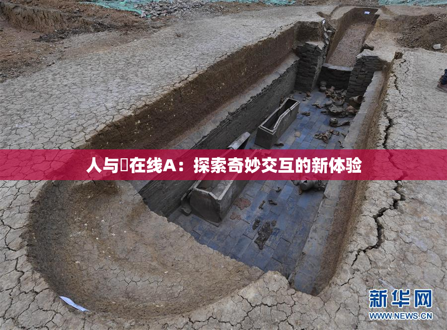 人与嘼在线A：探索奇妙交互的新体验