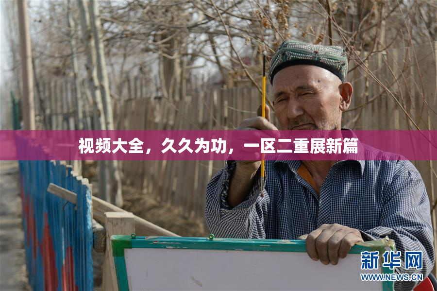 视频大全，久久为功，一区二重展新篇