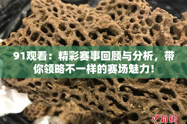 91观看：精彩赛事回顾与分析，带你领略不一样的赛场魅力！
