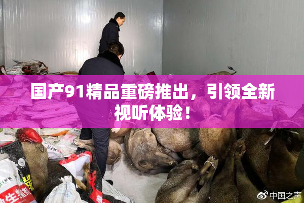 国产91精品重磅推出，引领全新视听体验！